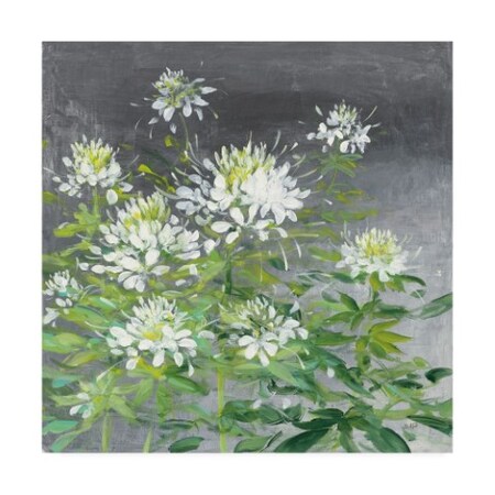 Trademark Fine Art Julia Purinton 'Farmhouse Cleome Ii' Canvas Art, 24x24 WAP10371-C2424GG